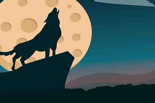 دکتر آذین گازر