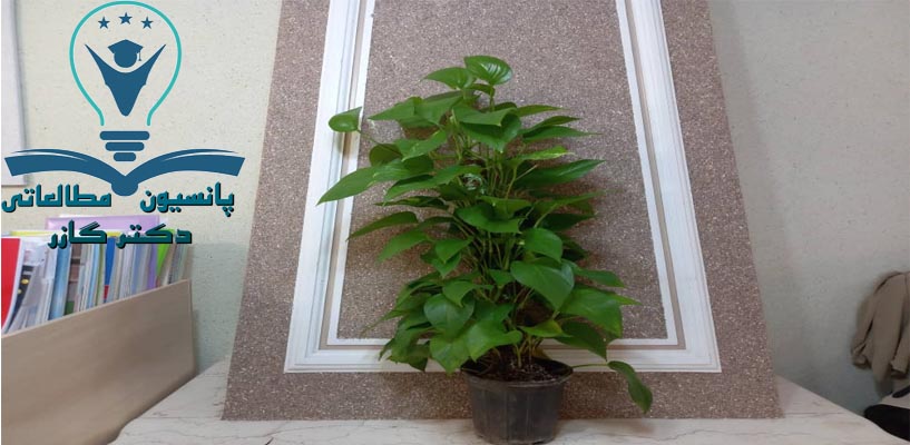 مشاوره نوجوان در اصفهان دکتر آذین گازر