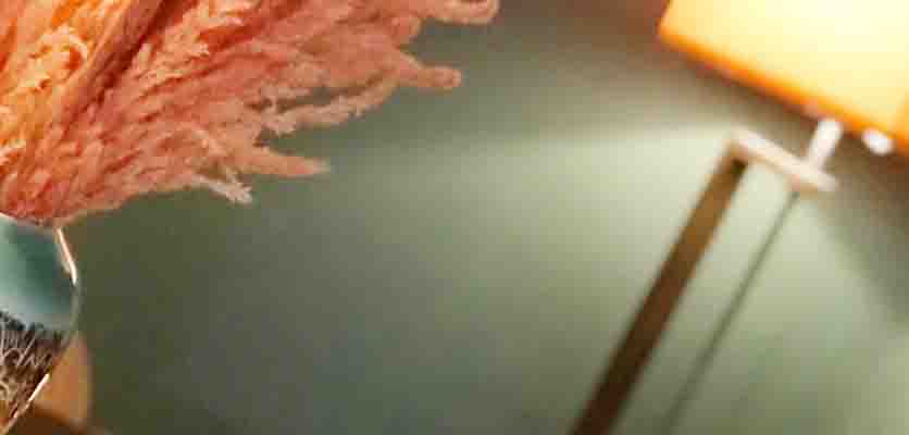 پانیسون مطالعاتی در اصفهان | دکتر اذین گازر | drazingazor