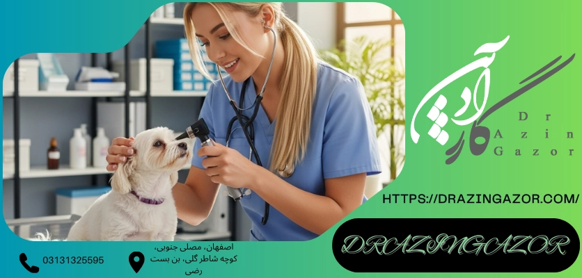 مشورت با مشاوران پانسیون مطالعاتیرشته دامپزشکی