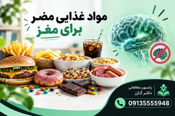 سلامت مغز   مواد غذایی مضر برای مغز
