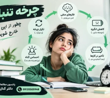 Laziness cycle 360x320